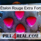 Étalon Rouge Extra Fort 13